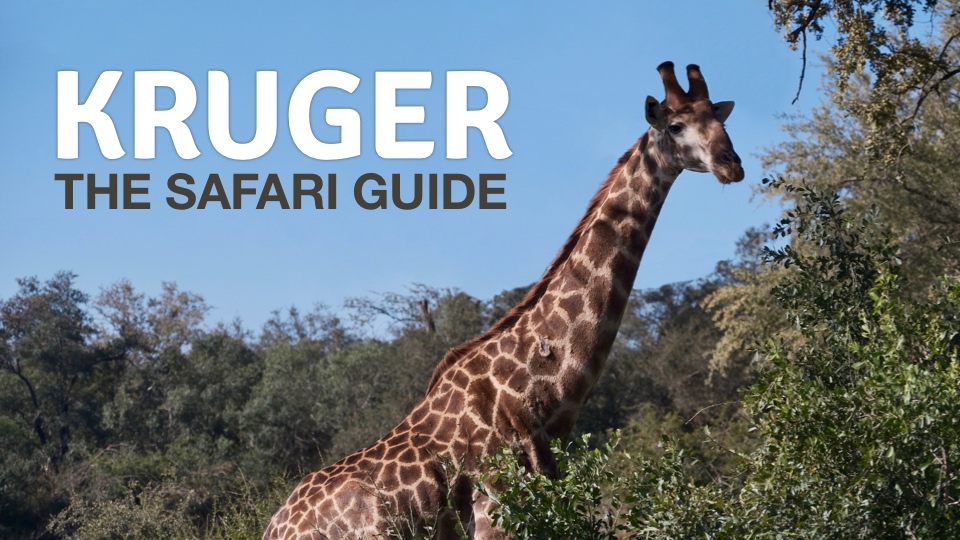 Kruger